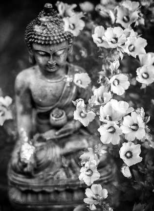 méditation et visualisation
